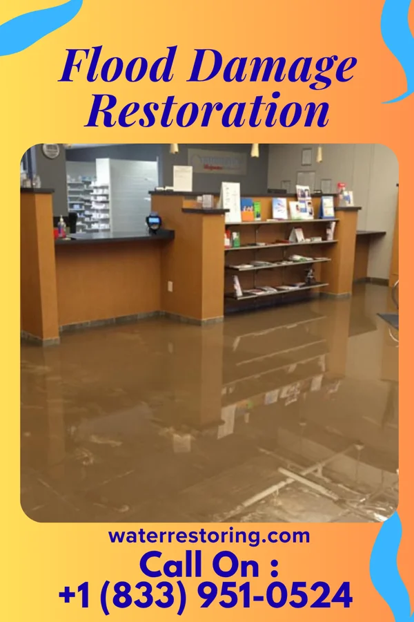 Flood Damage Restoration in Glenbeulah, WI