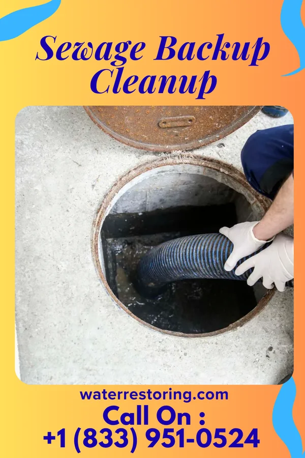 Sewage Backup Cleanup in Glenbeulah, WI